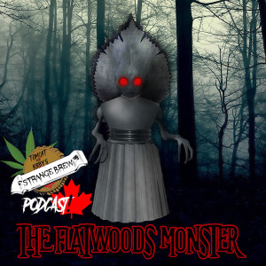 The Flatwoods Monster!
