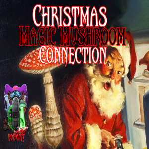 🍄 The Magic Mushroom Christmas Connection 🎄