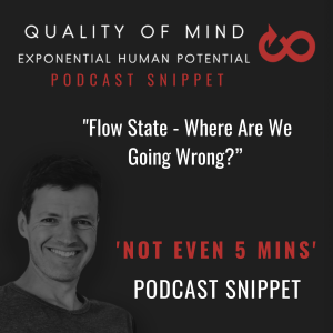 Snippet: Flow State - Where Are We Going Wrong?