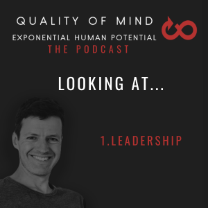 Looking at....1. LEADERSHIP:  How does Quality of Mind see Leadership?