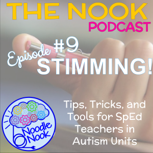Stimming in the Autism Classroom- How to Change the Behavior