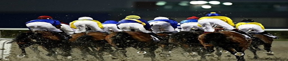 Are You Ready For The Cheltenham Gold Cup?