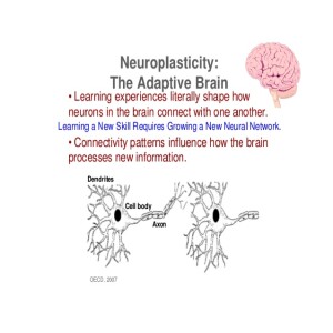 MPT Changes Your Brain