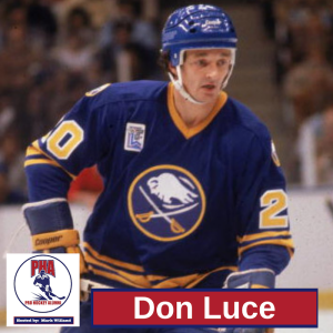 #29 Don Luce - 1970's Buffalo Sabres Two-Way Star