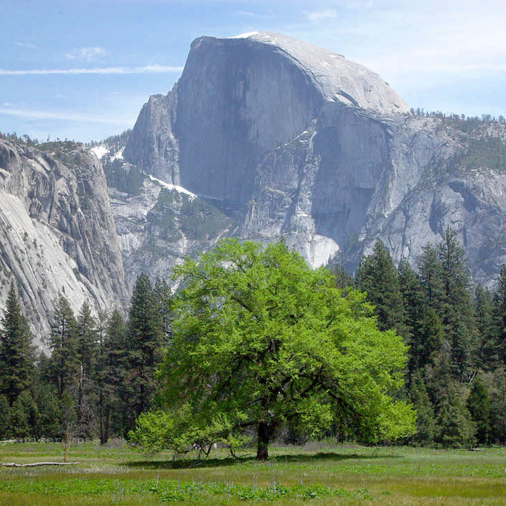 Yosemite is Open! Things to do in and around Yosemite National Park