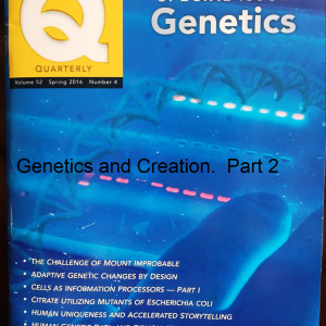 Genetics and Creation.  Part 2