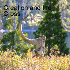 Creation and the Cross