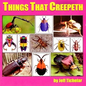 Interview with Jeff Tichelar, "The Beetle Guy"