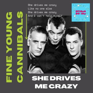 Resumo do Som #56: FIne Young Cannibals - She Drives me Crazy (1989)