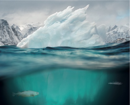 Polar Geopolitics - Arctic and Antarctic analysis