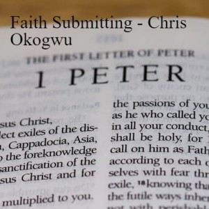 20210725 - Faith Submitting - Chris Okogwu