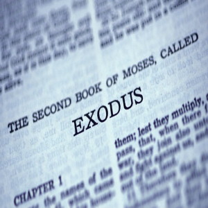  Exodus: Introduction - Pastor Chris Okogwu