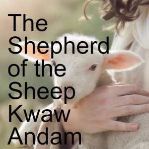 20220522 - The Shepherd of the Sheep - Kwaw Andam