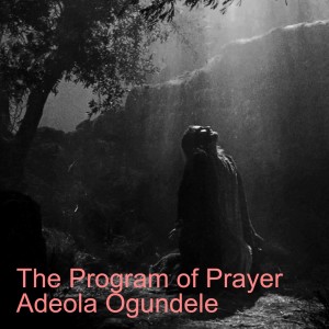 20220529 - The Program of Prayer, A (True Prayer - Part 7A) - Adeola Ogundele