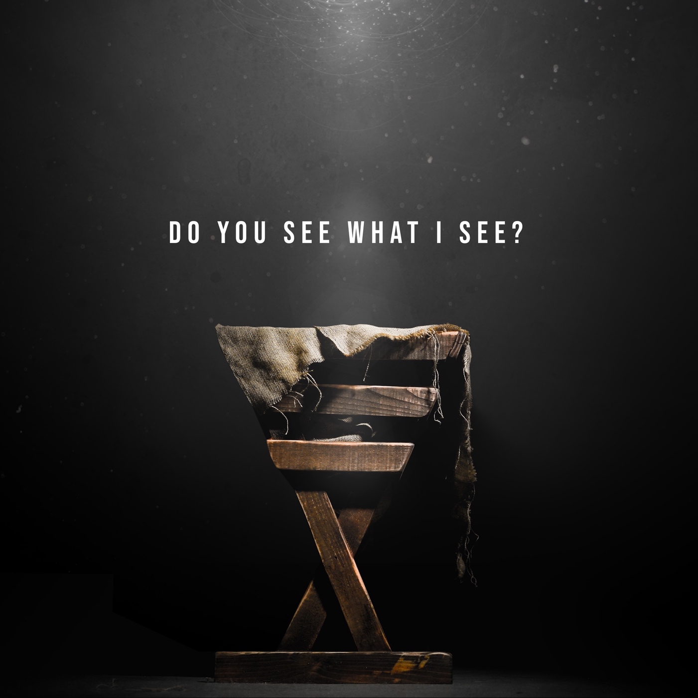Do you see what I see?