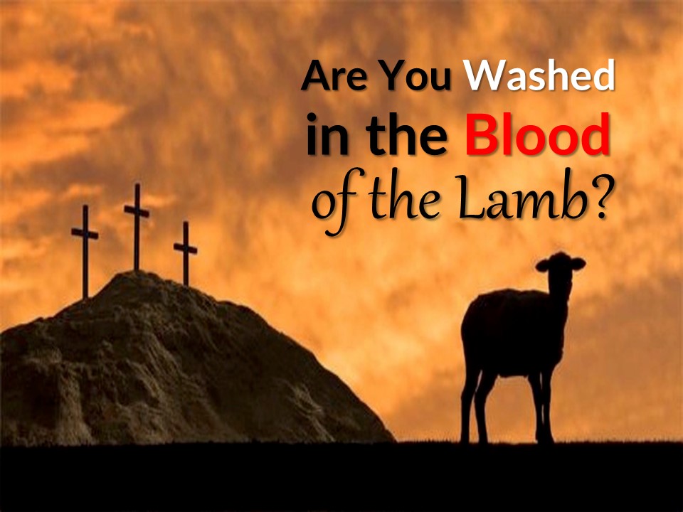 Are You Washed in the Blood of the Lamb? (Adam Faughn)