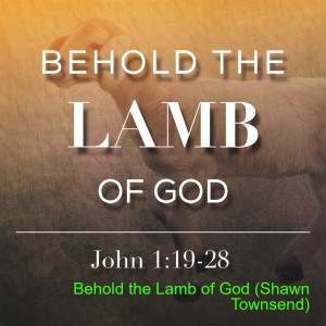 Behold the Lamb of God (Shawn Townsend)