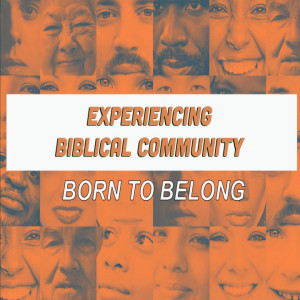Experiencing Biblical Community: Born to Belong (Matthew Balentine)