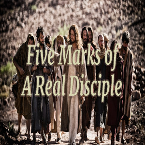 Five Marks of A Real Disciple (Matthew Balentine)
