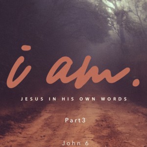 I Am: Jesus in His Own Words - Part 3 (Jonathan Germany)
