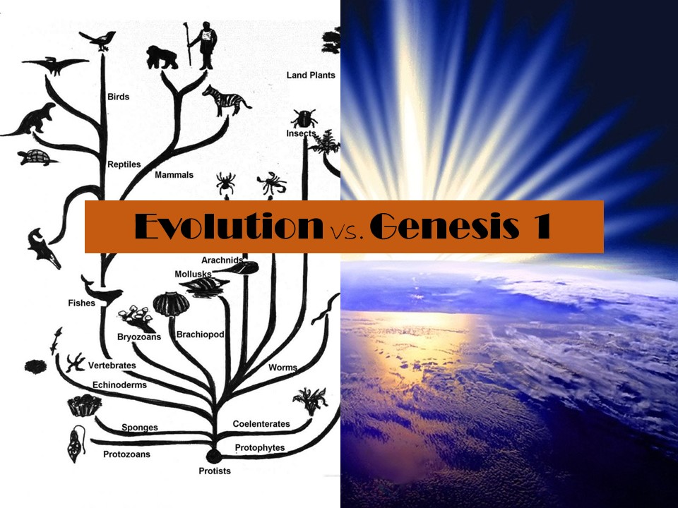Evolution vs. Genesis 1 (Adam Faughn)