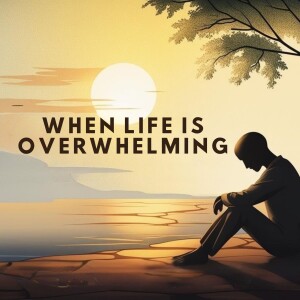 When Life Is Overwhelming (Josh Wade)