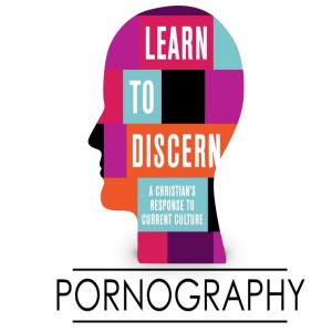 Pornography (Joe Wells)