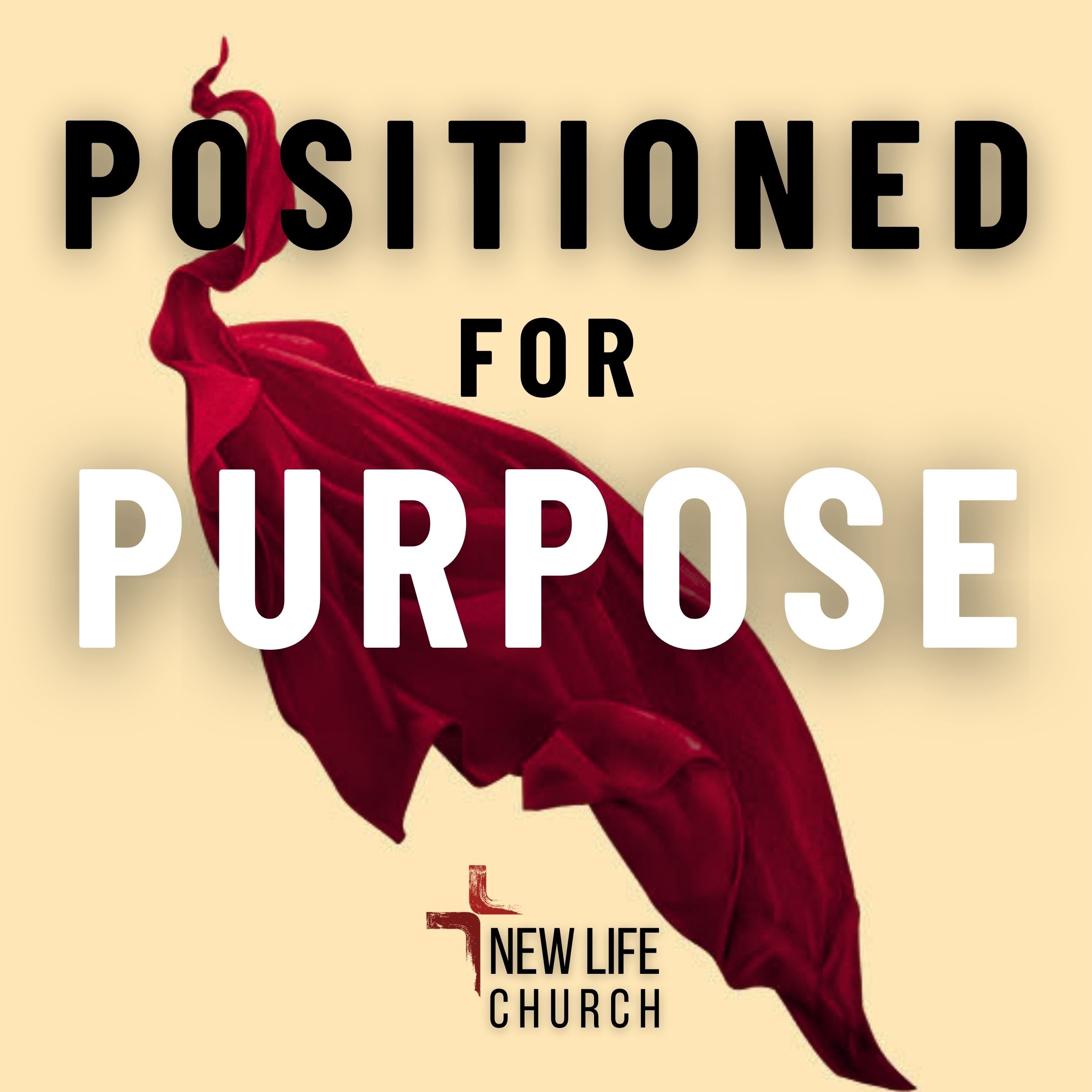 New Life Church - Springfield