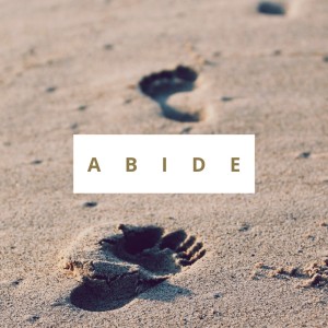 Abide - Meditation
