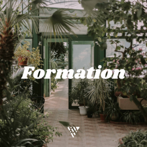 Formation - New Rule For Life