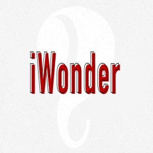 iWonder - He Came Not to be Served but to Serve