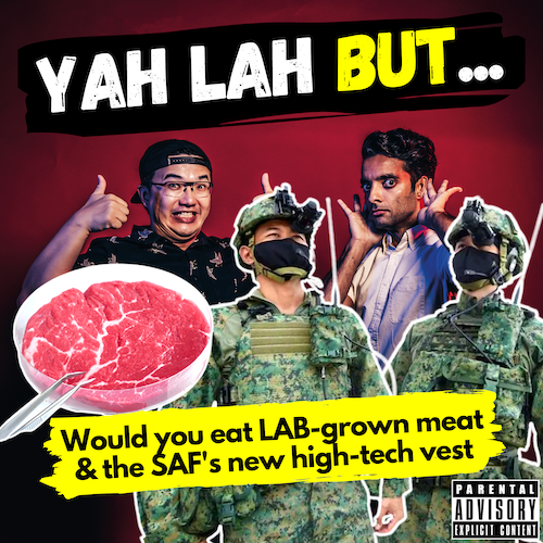 YLB #110 - Singapore becomes the 1st country to approve lab-grown meat & SAF NSFs get new army vests