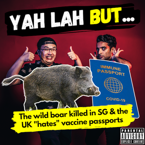 YLB #134 - A wild boar gets euthanized in SG & thousands sign a petition against “vaccine passports” in the UK