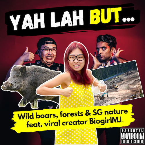 YLB #138 - A viral nature “influencer” on the Kranji forest clearing, wild boars & SG nature (feat. Biogirl MJ)