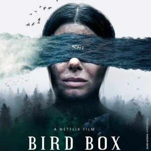 20 - Bird Box