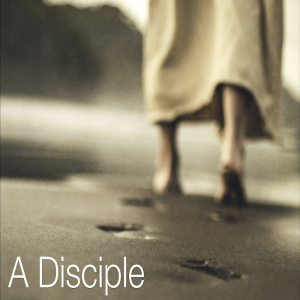 A Disciple