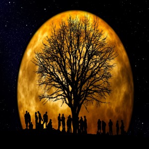 Episode 122: Would You Give Your Life for a Stranger? 