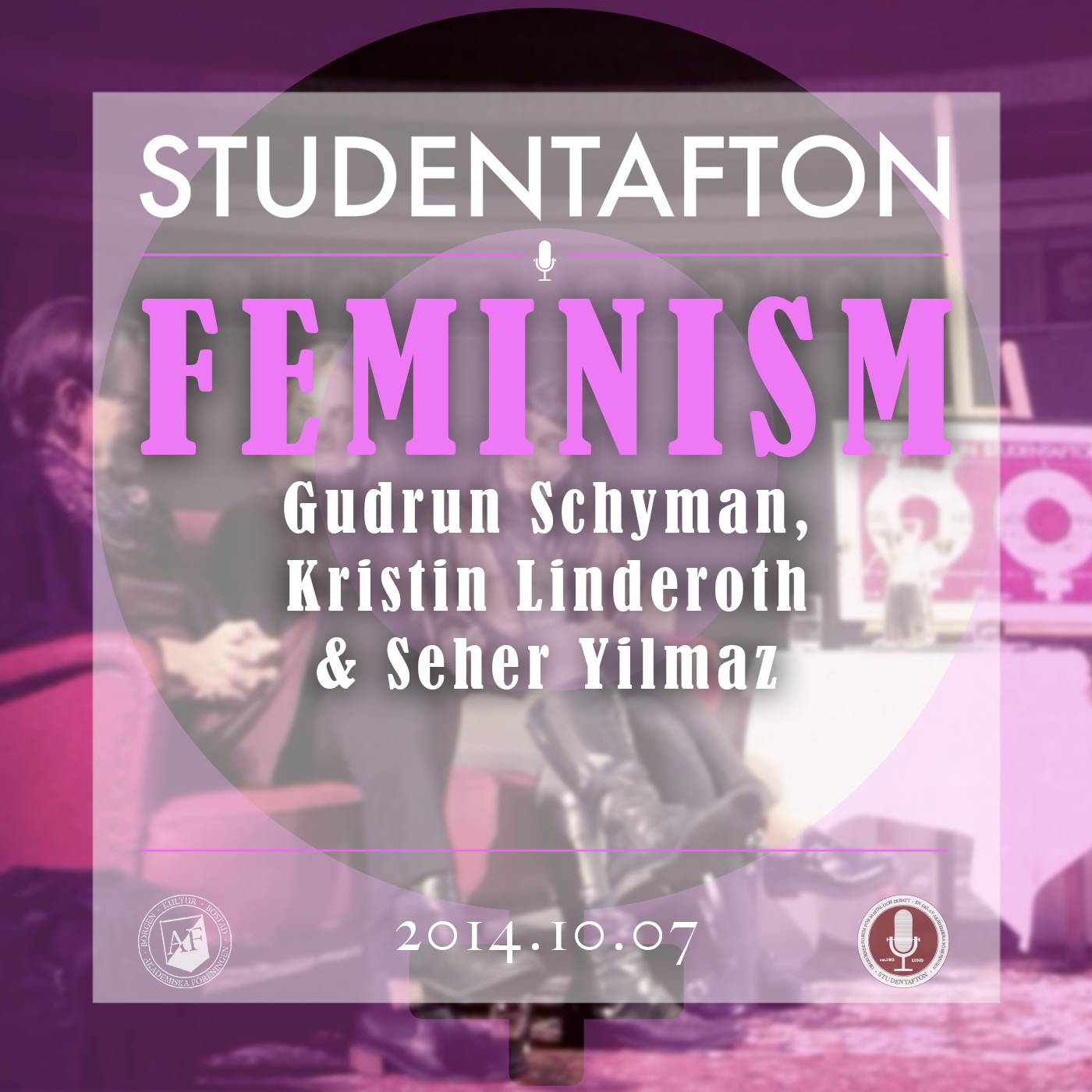 3. Feminism inom akademi, aktivism och politik