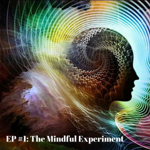 EP#1 - How to Experiment Life in a Mindful Way