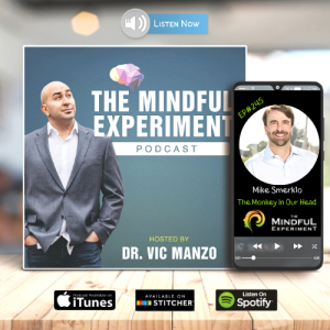 EP#245 - The Monkey in My Head