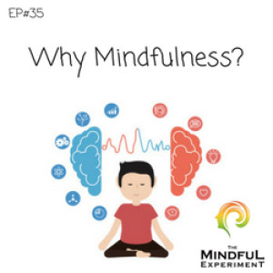 EP#35 - Why Is Mindfulness Essential In Today's World?
