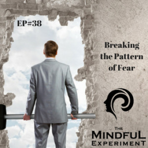 EP#38 - Breaking the Pattern of FEAR