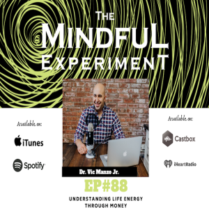 EP#88 - Understanding Life Energy Through Money