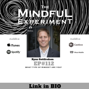 EP#112 - What Mindset Are You?
