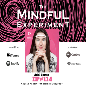 EP#114 - Master Meditation with Technology