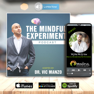 EP#353 - How to Accelerate Performance with Guest: Wylie McGraw