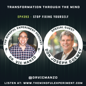 EP#393 - Stop Fixing Yourself with Guest: Don Joseph Goewey
