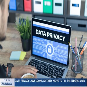 BRN Sunday | Data Privacy Laws Loom as States Move to Fill the Federal Void