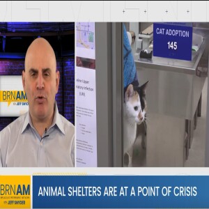 Animal Shelters are at a point of crisis