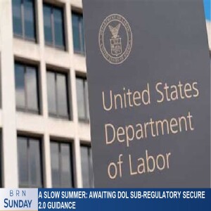 #BRNSunday #1297 | A slow summer: awaiting DOL Sub-Regulatory Secure 2.0 Guidance